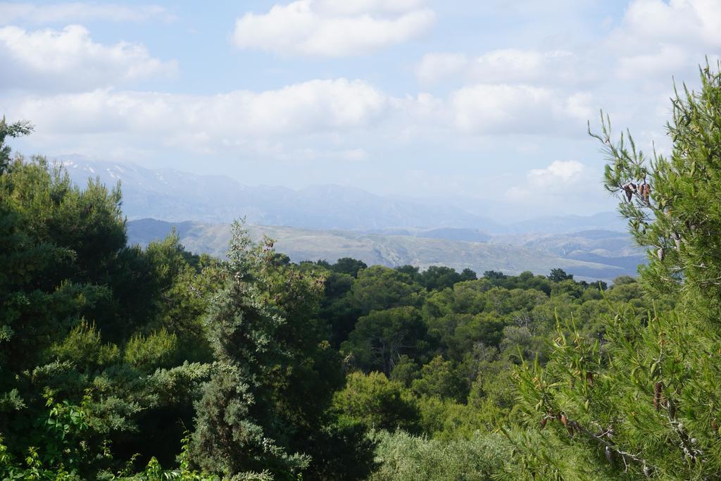 Monte Vardia La Canée Chambre photo